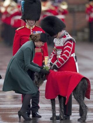 Duchess of Cambridge presents shamrock to the mascot of the 1st Battalion Irish Guards