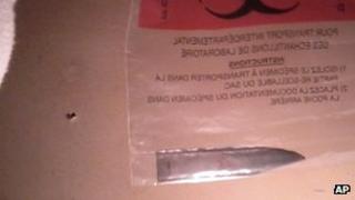 The knife removed from Billy McNeely's back