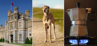 Stately home, whippet, stovetop coffee