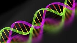 DNA