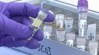 Lab (generic)