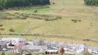 Mae gwirfoddolwyr ym Mlaengarw wedi sefydlu perllan gymunedol i wella ansawdd bywydau pobl y pentre