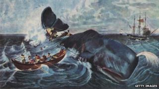 The capture of a sperm whale in the Pacific Ocean, 1835 by J. Hill, from a sketch by Cornelius B. Hulsart. (Photo by Hulton Archive/Getty Images)