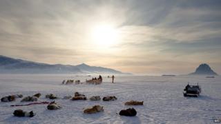 Arctic
