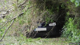 Fallen tree, Plympton St Maurice, 15 May 2013