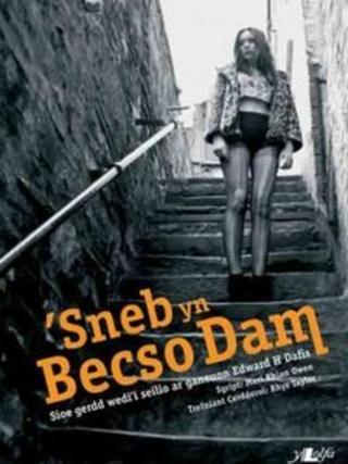 Sneb yn Becso Dam