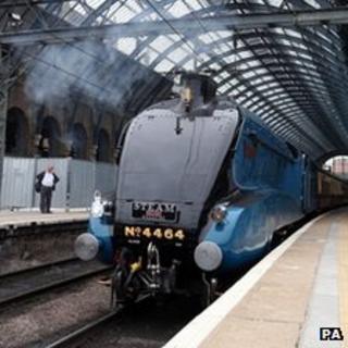 Locomotive Bittern