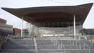 Senedd