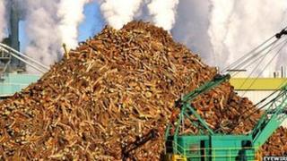 Pile of logs