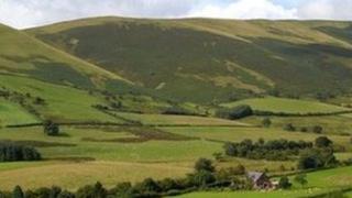 Cefn Gwlad