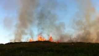 Bourne Valley Nature Reserve heath fire