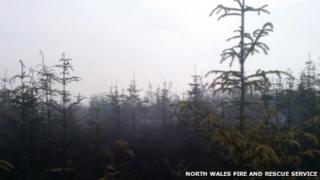 Forest fire at Llandderfel