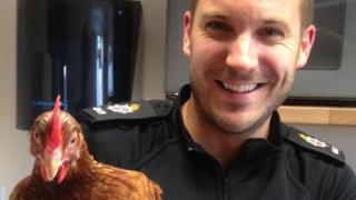 PC Tony Kerby and one of the rescued chickens