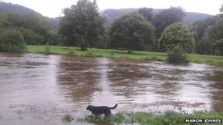 Rhybudd o lifogydd wedi glaw trwm