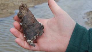 Piece of birch
