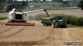 harvesting