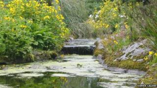 Logan Botanic Gardens