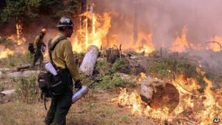 In this photo provided by the US Forest Service, fire crew members stand watch near a controlled burn operation as they fight the Rim Fire near Yosemite National Park in California 1 September 2013