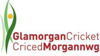 Clwb Criced Morgannwg