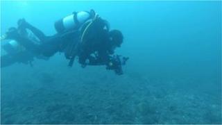 Divers