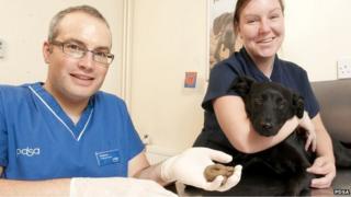 Vet Stephan Hunt holds the potentially lethal object with Shelly Bryson and Boo
