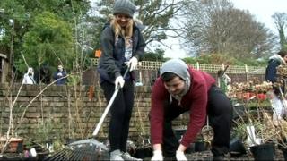 People sweeping leaves