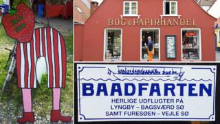 Self-pluck strawberries, a book shop and lake tours