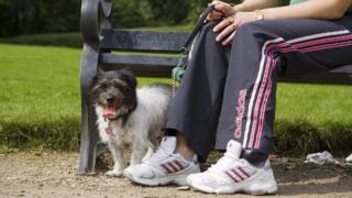 Electronic tags, usually worn on the ankle, can be tracked by GPS technology