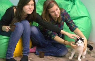 Customers fondle a cat at Kis-Kis Cafe
