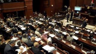 Constituent assembly votes on draft constitution in the Shura Council building in Cairo (1 December 2013)