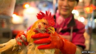 A vendor weighs a live chicken at the Kowloon City Market on 12 April 2013 in Hong Kong. Local authorities have stepped up the testing of live poultry imports from China to include a rapid test for the H7N9 "bird flu" virus
