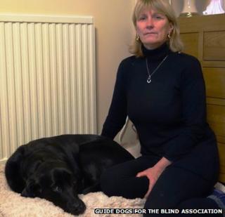 Gwen recovering at home with owner Julie Rees