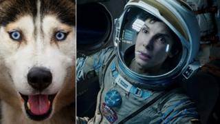 Sandra Bullock beside an unnamed dog