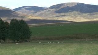 Talamh-àitich