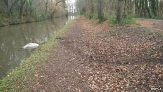 Drag marks by canal