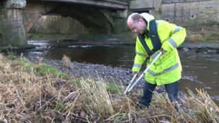 Volunteer on banks of River Calder