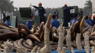 Рабочие уничтожают незаконную слоновую кость в Дунгуане, южная провинция Гуандун, Китай, в понедельник, 6 января 2014 года