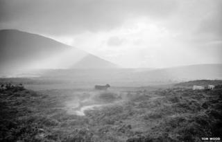 Back from Pontoon, (Cavecalf), 1975