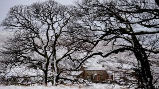 Snowy scene near Allendale in Northumberland