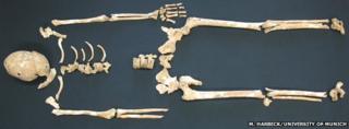 Остатки скелета жертв чумы найдены в Германии
