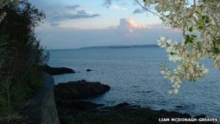 Fal Estuary
