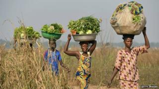 Women come back from the fields to sell vegetables at a market near the internally displacement camp close to the airport in Bangui on January 7, 2014.