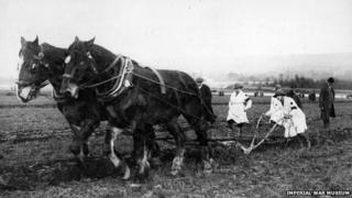 Во время Первой мировой войны члены Сухопутной армии женщин управляют конным плугом.