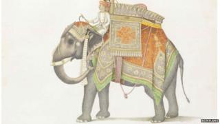 Elephant and driver