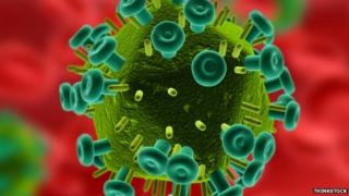 HIV virus