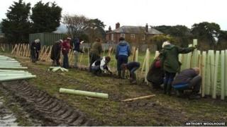 Hedge planting at former landfill site