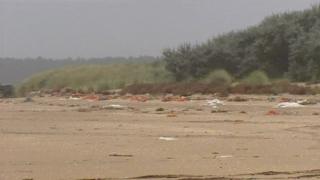 Beach litter