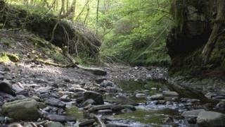 Cyfoeth Naturiol Cymru