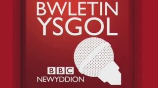 Bwletin ysgol