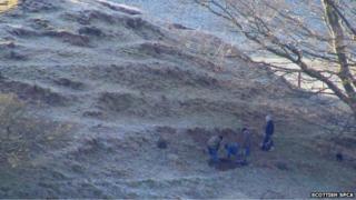 Badger sett